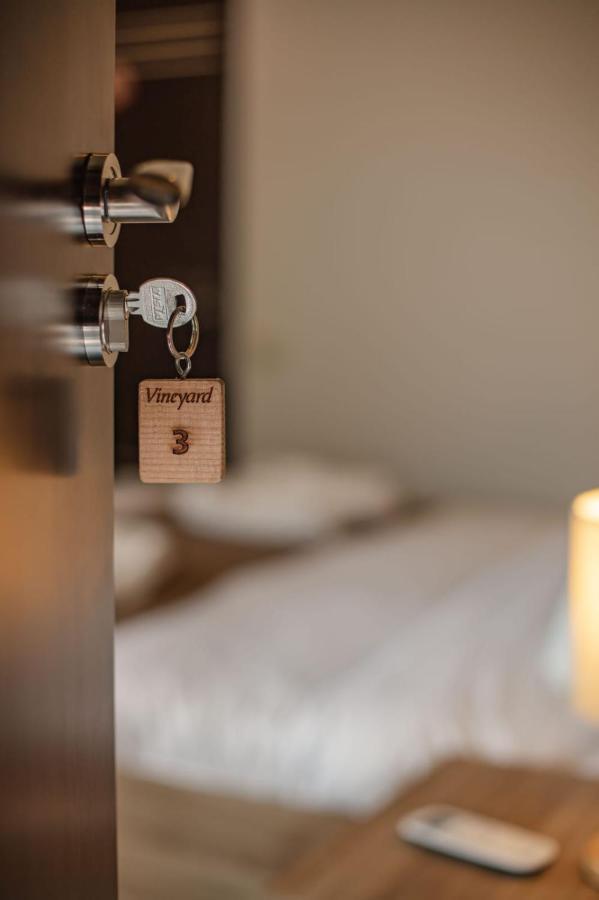 Vineyard Hotel & Winery Napareuli Εξωτερικό φωτογραφία
