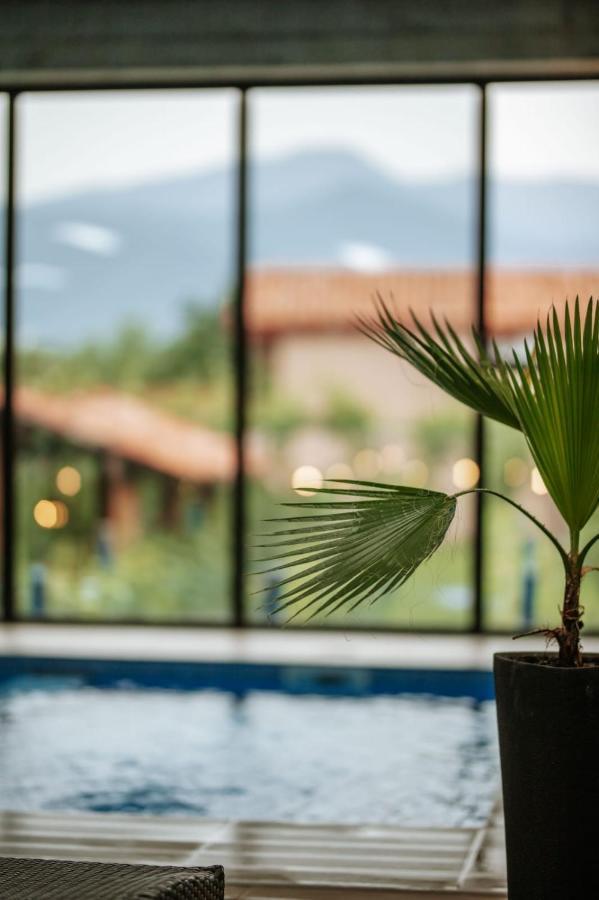 Vineyard Hotel & Winery Napareuli Εξωτερικό φωτογραφία