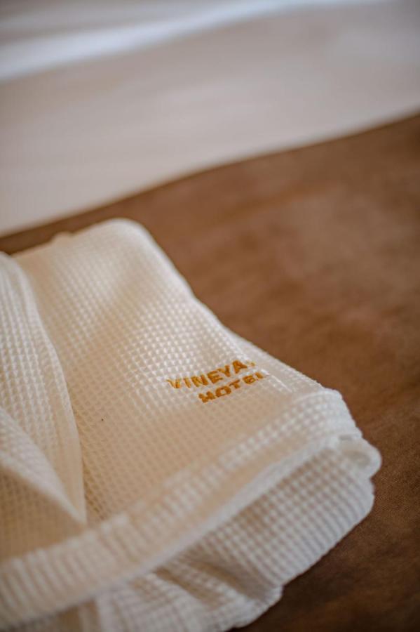 Vineyard Hotel & Winery Napareuli Εξωτερικό φωτογραφία