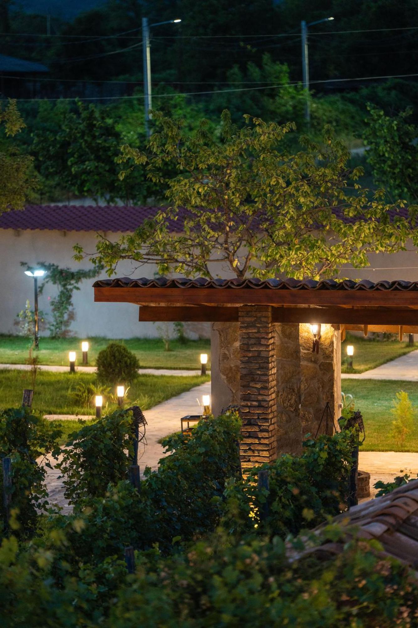 Vineyard Hotel & Winery Napareuli Εξωτερικό φωτογραφία