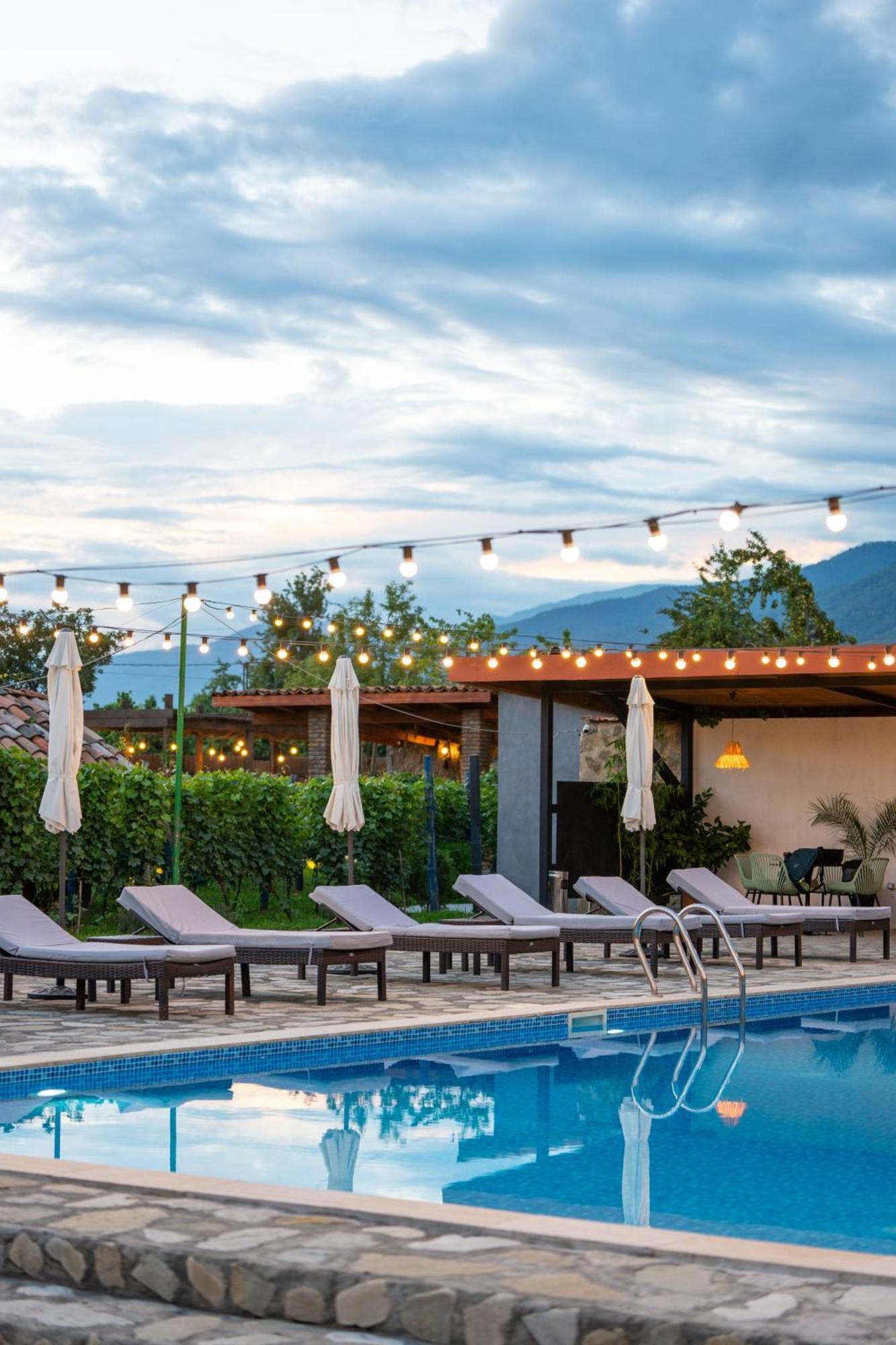 Vineyard Hotel & Winery Napareuli Εξωτερικό φωτογραφία
