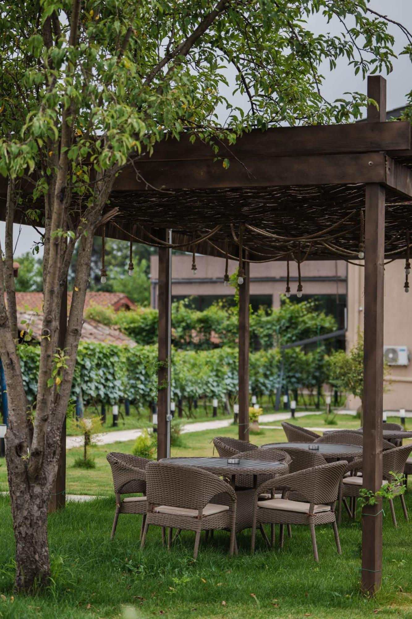 Vineyard Hotel & Winery Napareuli Εξωτερικό φωτογραφία