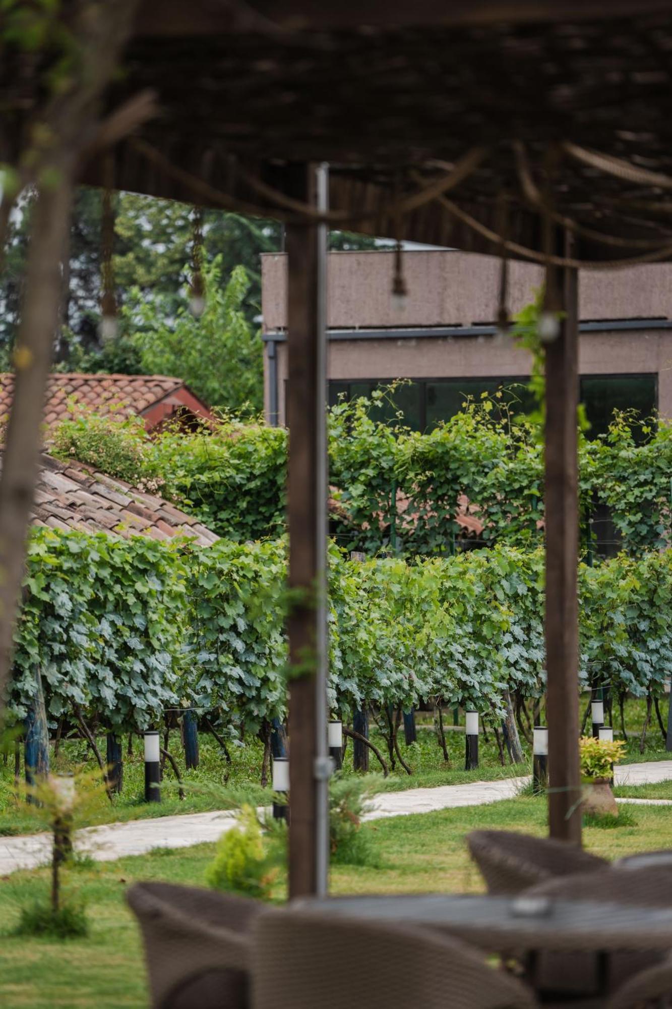 Vineyard Hotel & Winery Napareuli Εξωτερικό φωτογραφία