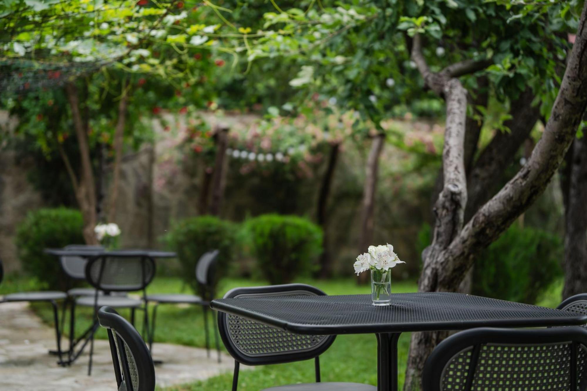 Vineyard Hotel & Winery Napareuli Εξωτερικό φωτογραφία